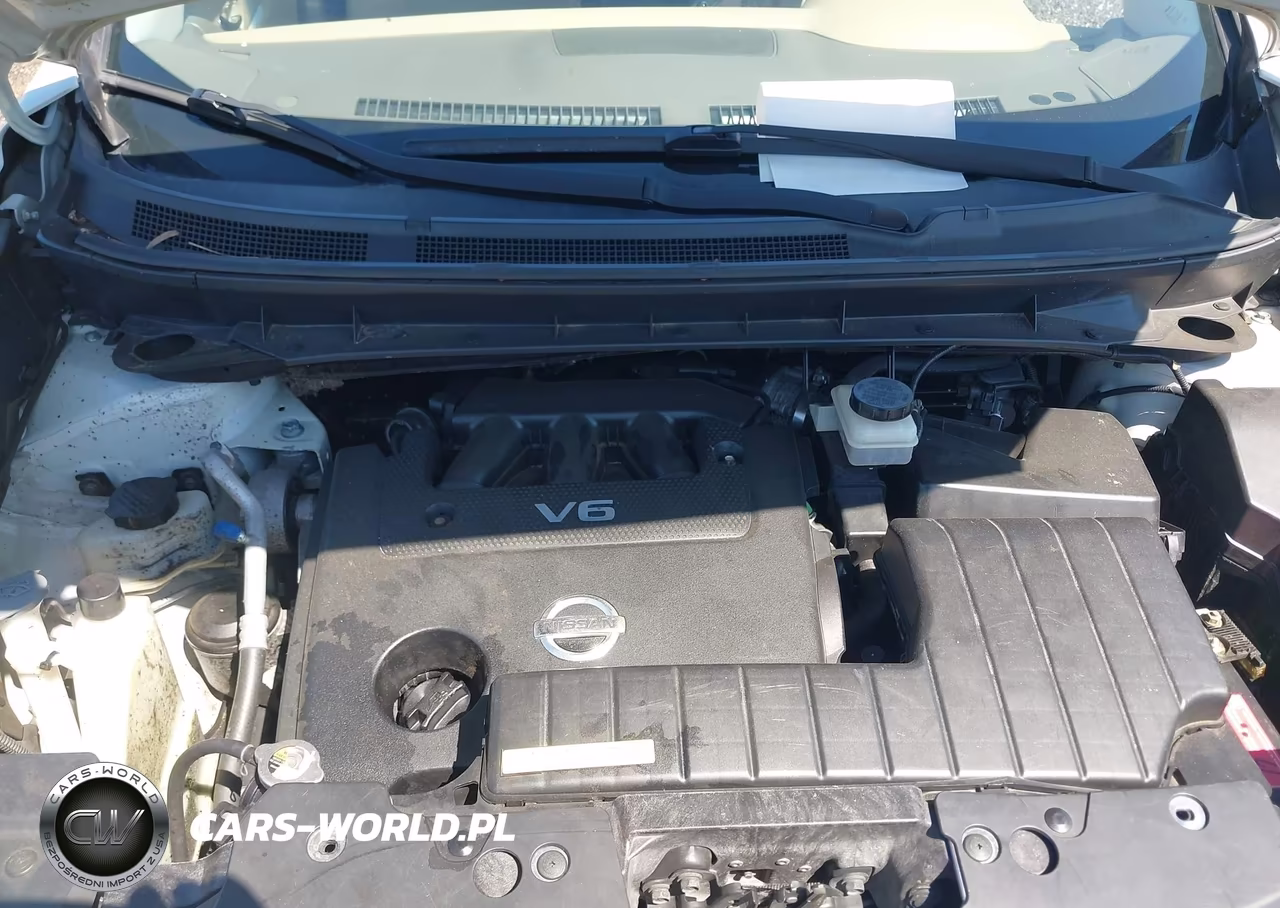 2010 Nissan Murano S VIN:JN8AZ1MW6AW112707 - 10