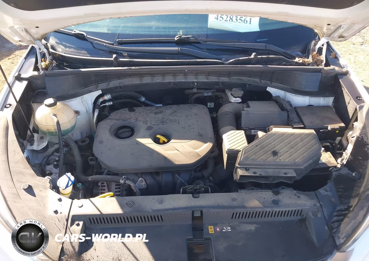 2016 Hyundai Tucson Se VIN:KM8J3CA43GU134174 - 10
