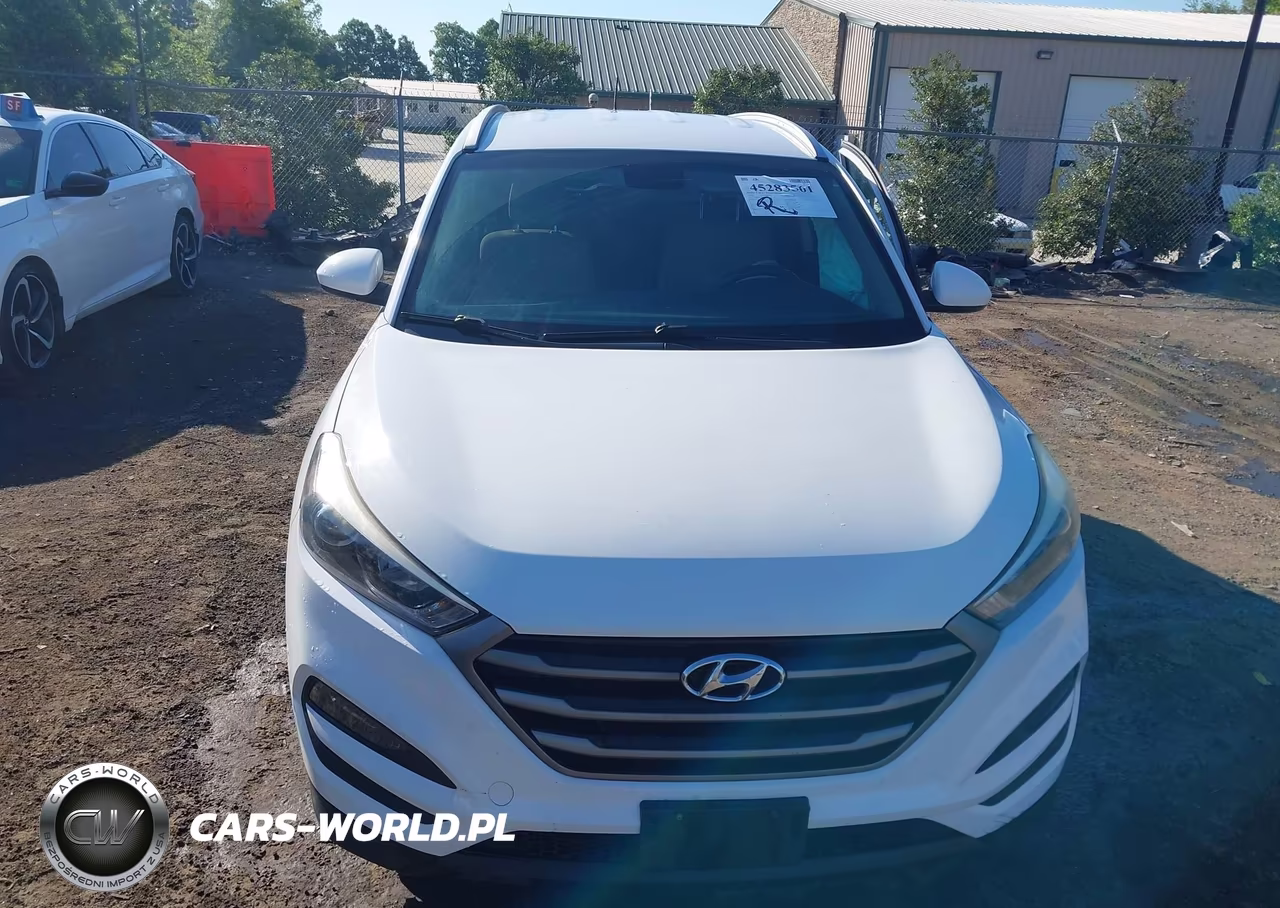2016 Hyundai Tucson Se VIN:KM8J3CA43GU134174 - 12