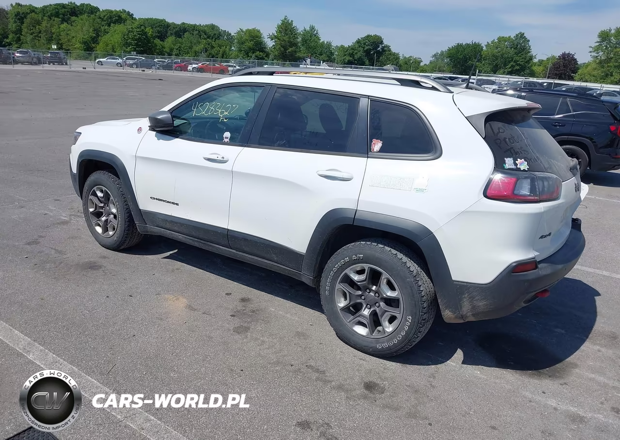 2019 Jeep Cherokee Trailhawk 4X4 VIN:1C4PJMBX6KD415476 - 3
