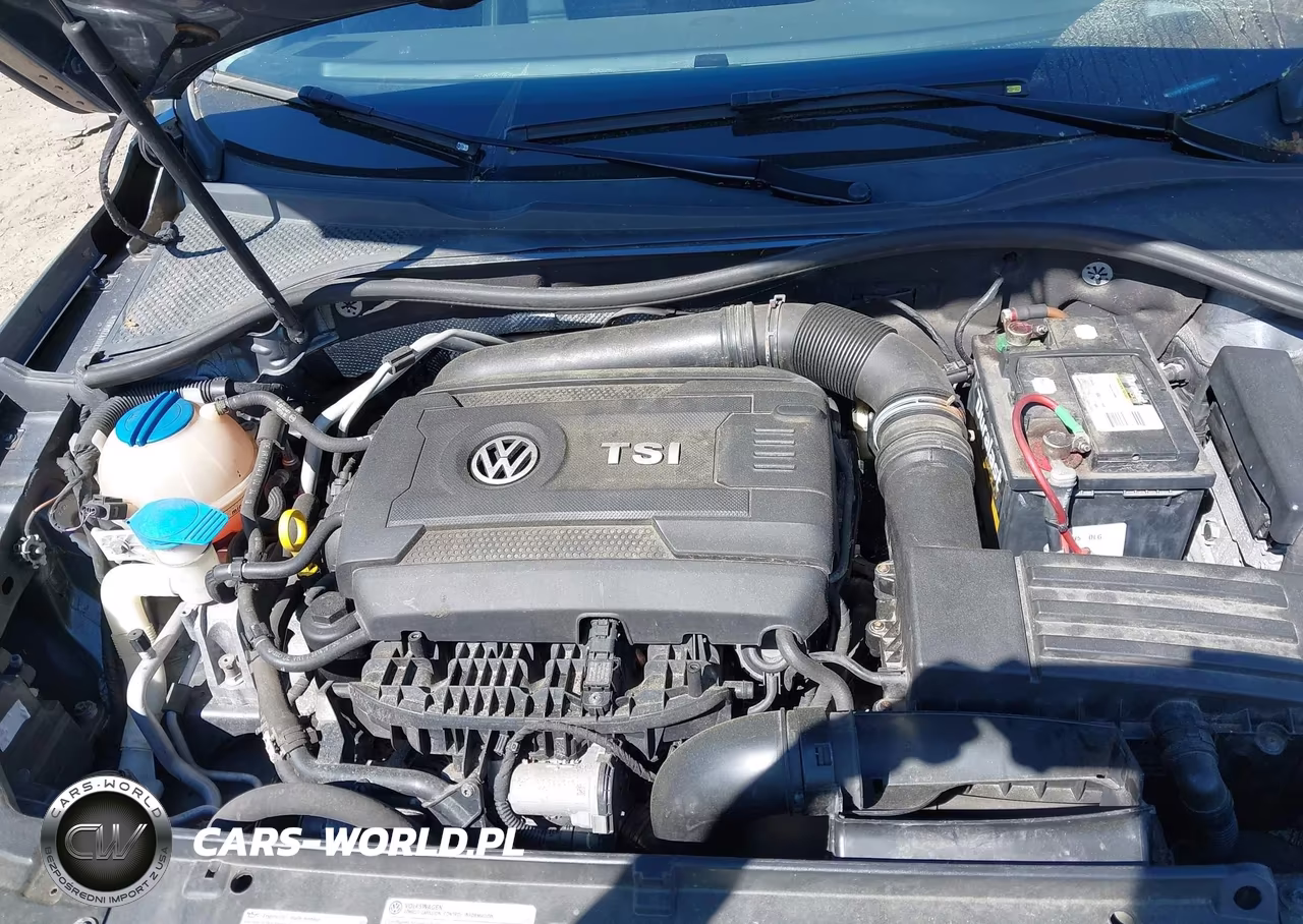 2014 Volkswagen Passat 1.8T Se VIN:1VWBT7A33EC062366 - 10