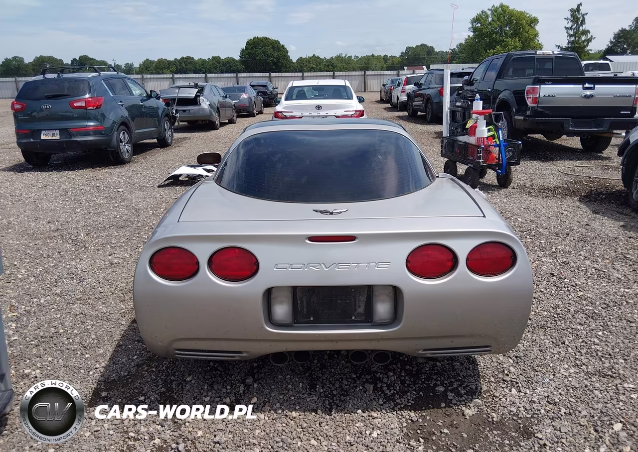 2004 Chevrolet Corvette VIN:1G1YY22G745132188 - 17