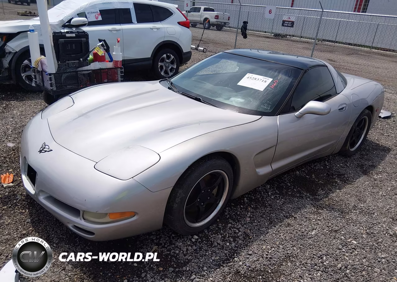 2004 Chevrolet Corvette VIN:1G1YY22G745132188 - 2