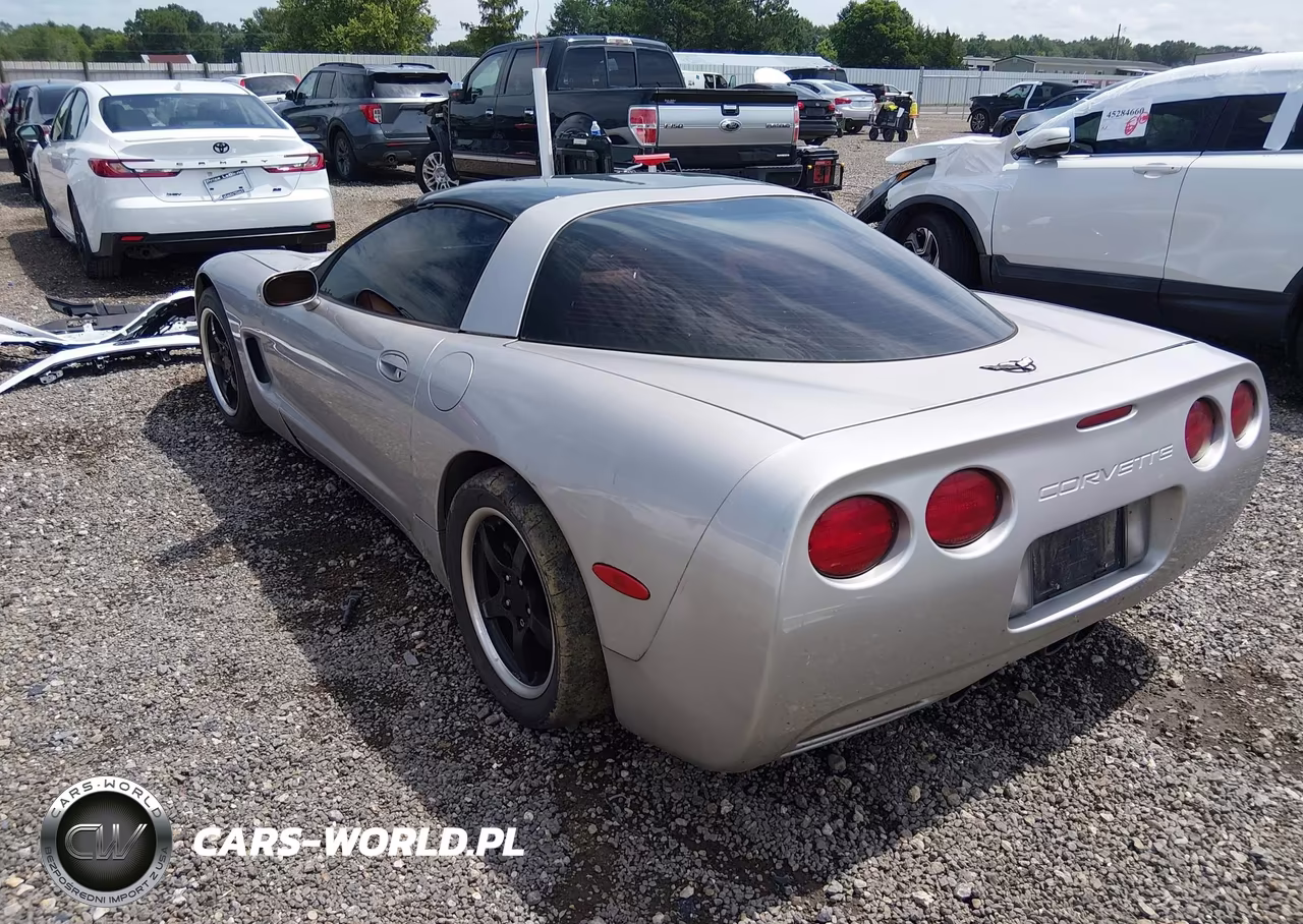 2004 Chevrolet Corvette VIN:1G1YY22G745132188 - 3