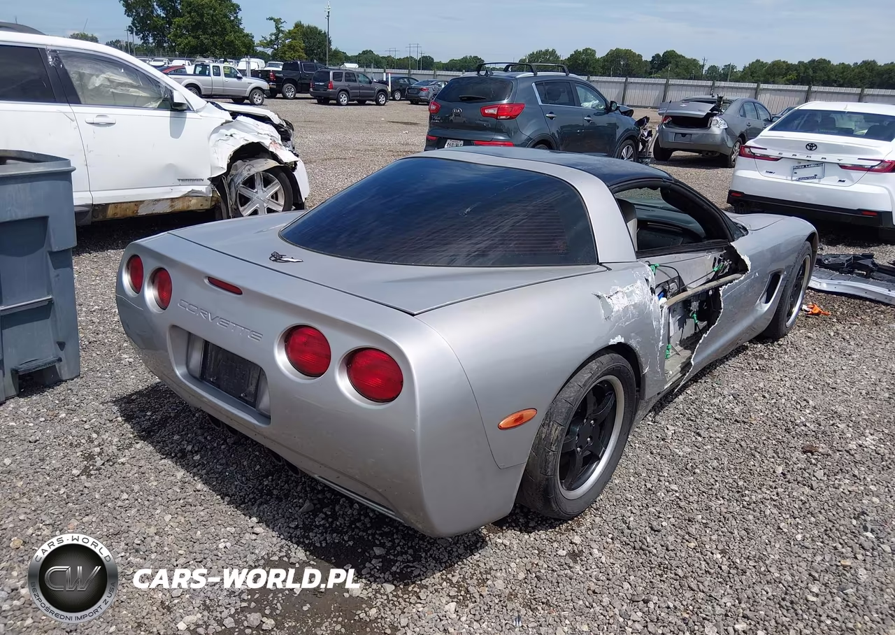 2004 Chevrolet Corvette VIN:1G1YY22G745132188 - 4