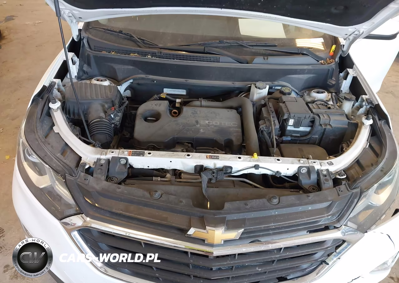 2018 Chevrolet Equinox Lt VIN:2GNAXJEVXJ6317973 - 10
