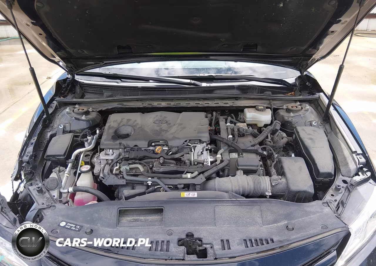 2020 Toyota Camry Xle Hybrid VIN:4T1F31AKXLU542450 - 10