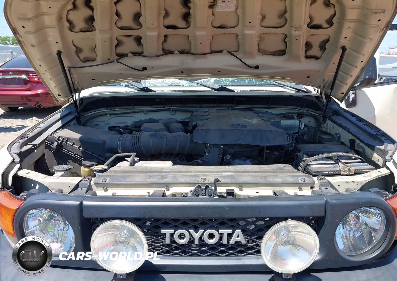 2010 Toyota Fj Cruiser VIN:JTEBU4BF1AK072784 - 10