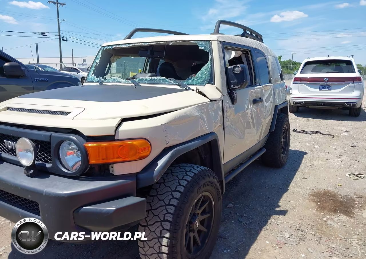 2010 Toyota Fj Cruiser VIN:JTEBU4BF1AK072784 - 6