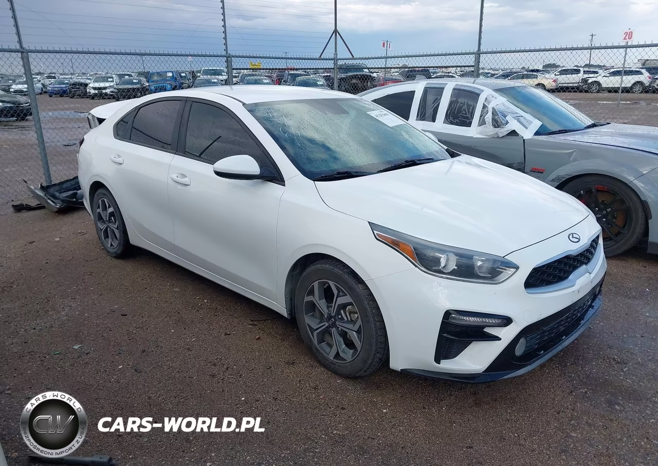 2019 Kia Forte Lxs