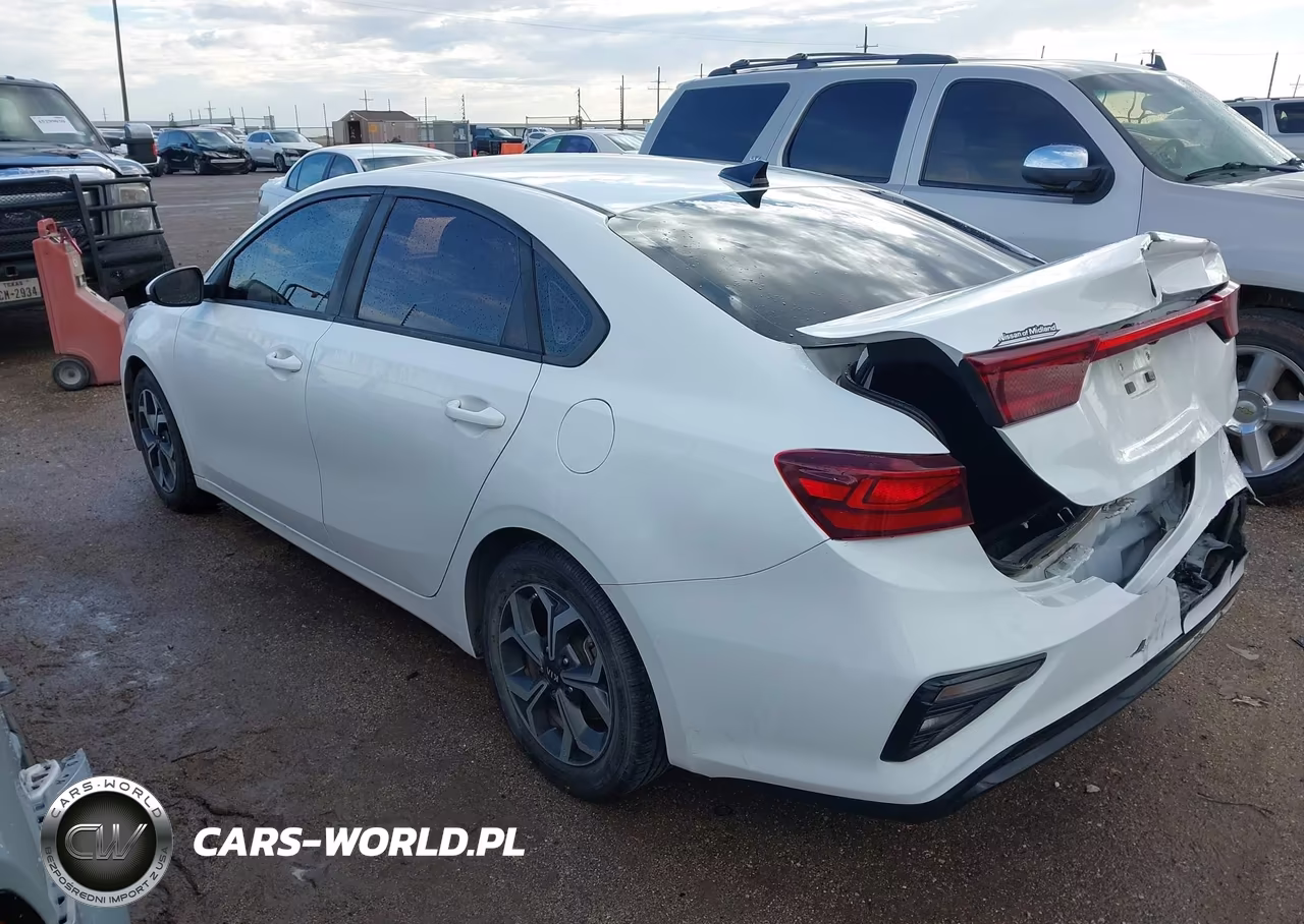 2019 Kia Forte Lxs VIN:3KPF24AD7KE070103 - 3