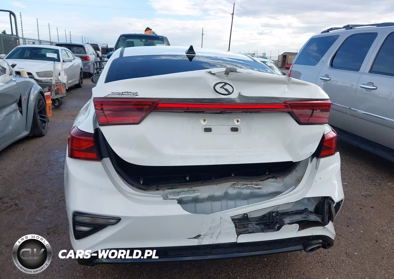 2019 Kia Forte Lxs VIN:3KPF24AD7KE070103 - 6