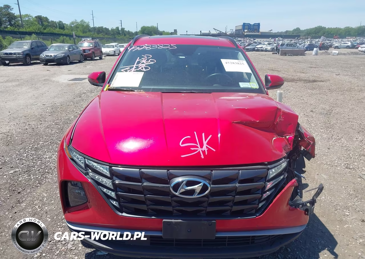 2023 Hyundai Tucson Sel VIN:5NMJFCAEXPH184016 - 12