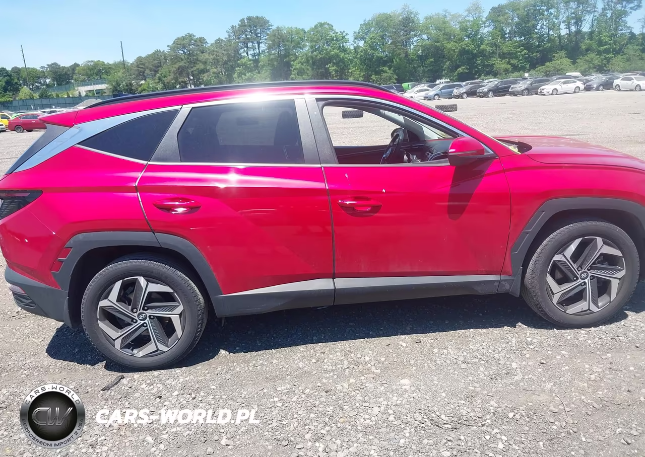 2023 Hyundai Tucson Sel VIN:5NMJFCAEXPH184016 - 13