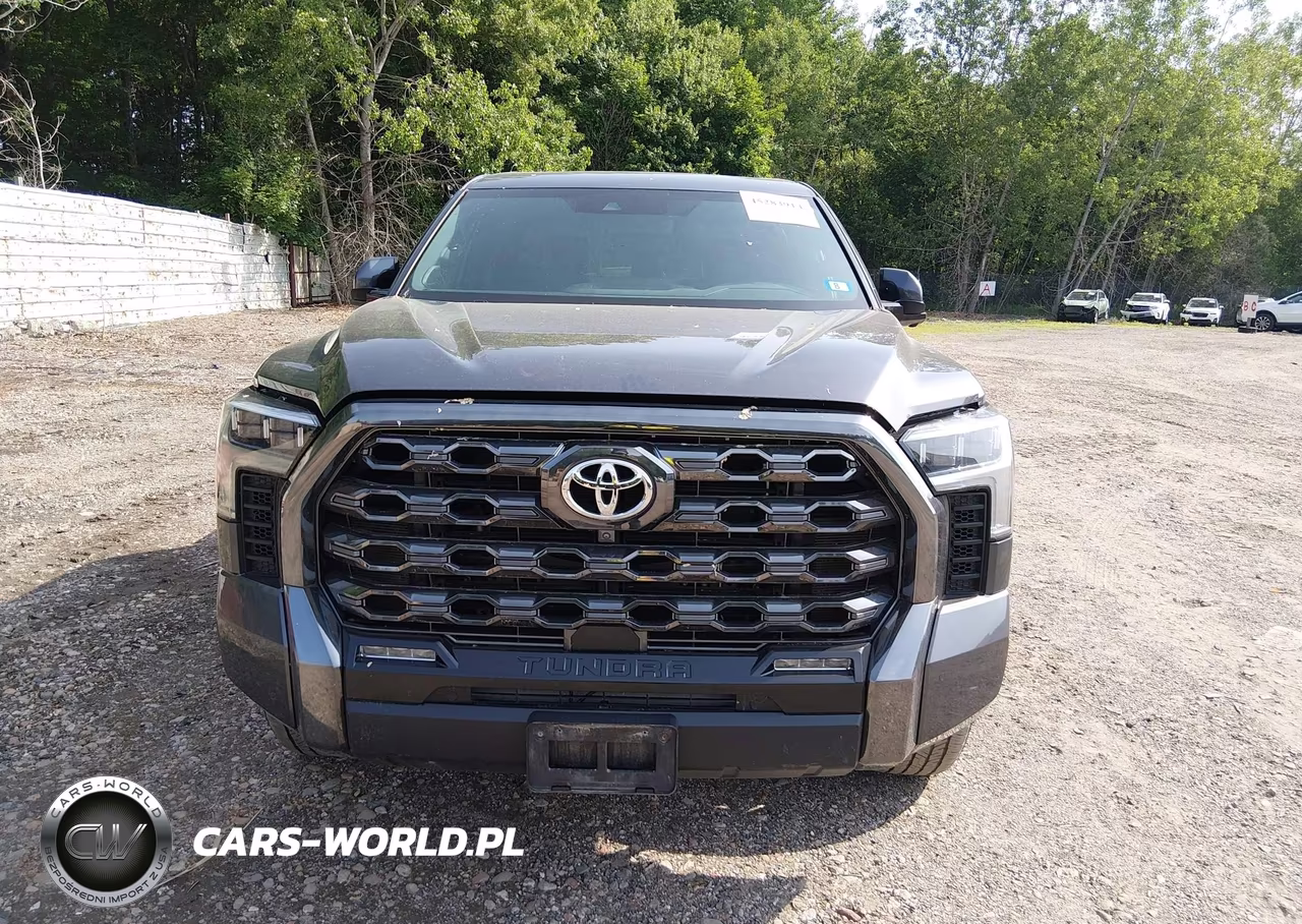 2022 Toyota Tundra Platinum VIN:5TFNA5DB3NX002254 - 12