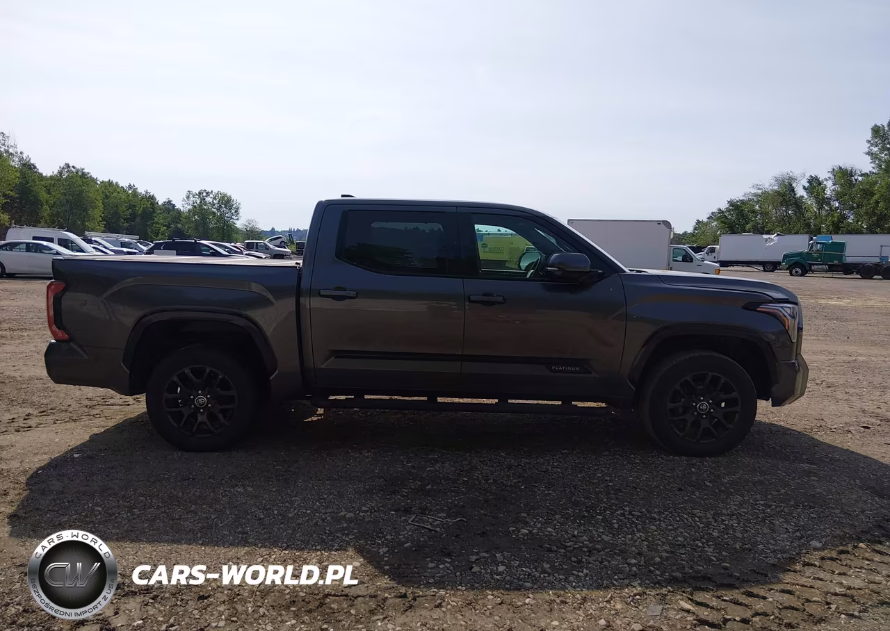 2022 Toyota Tundra Platinum VIN:5TFNA5DB3NX002254 - 13