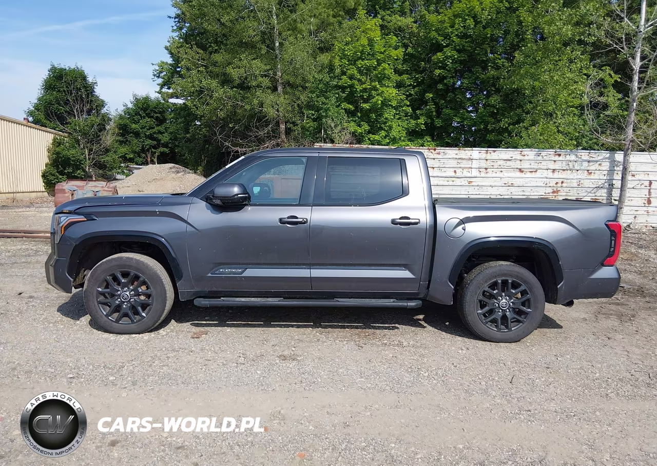 2022 Toyota Tundra Platinum VIN:5TFNA5DB3NX002254 - 14