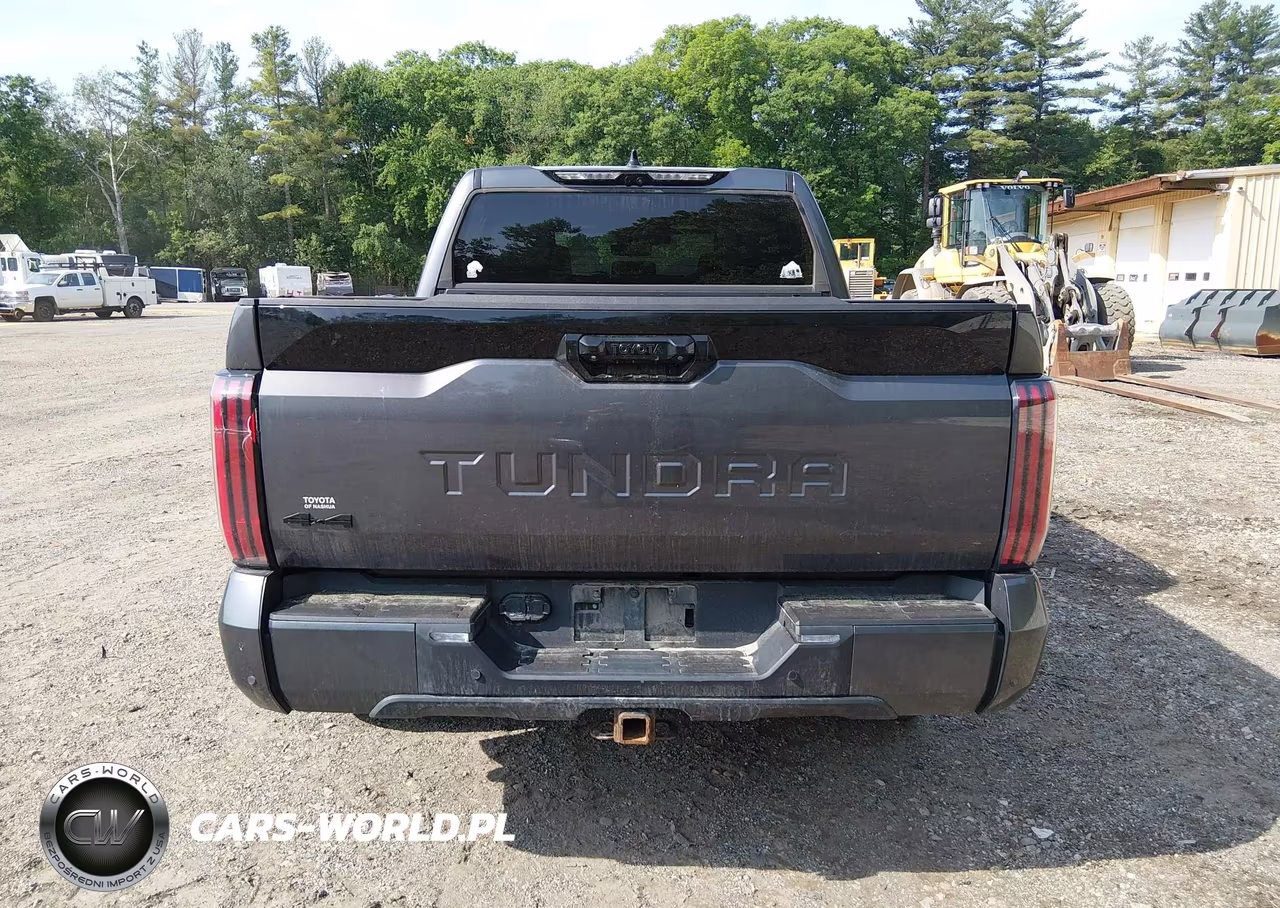 2022 Toyota Tundra Platinum VIN:5TFNA5DB3NX002254 - 16