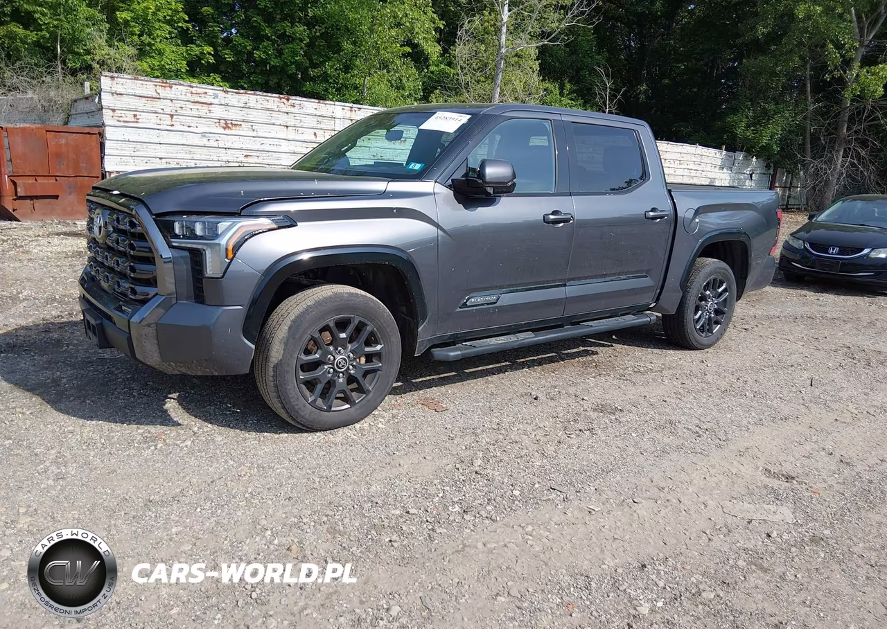 2022 Toyota Tundra Platinum VIN:5TFNA5DB3NX002254 - 2