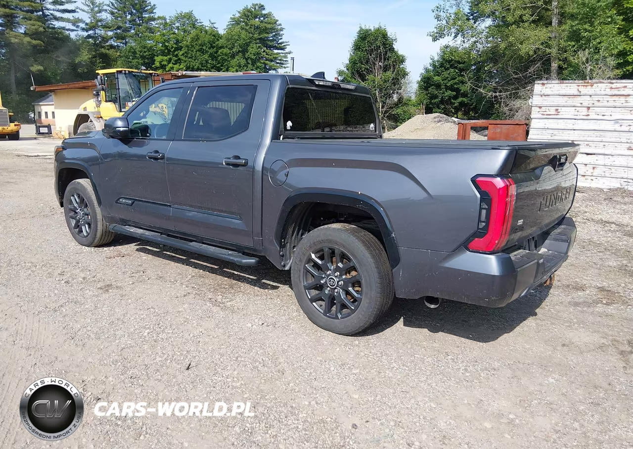2022 Toyota Tundra Platinum VIN:5TFNA5DB3NX002254 - 3