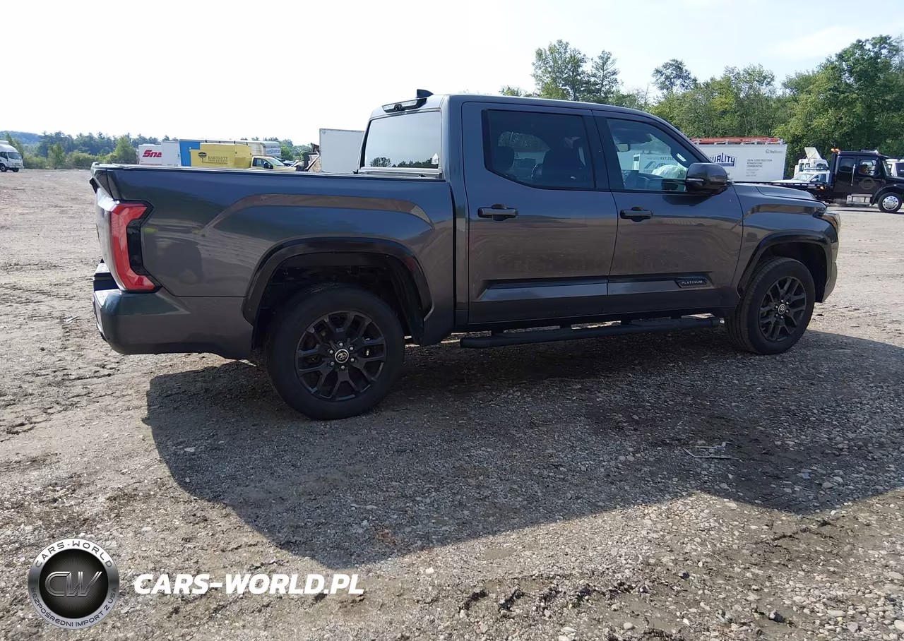 2022 Toyota Tundra Platinum VIN:5TFNA5DB3NX002254 - 4