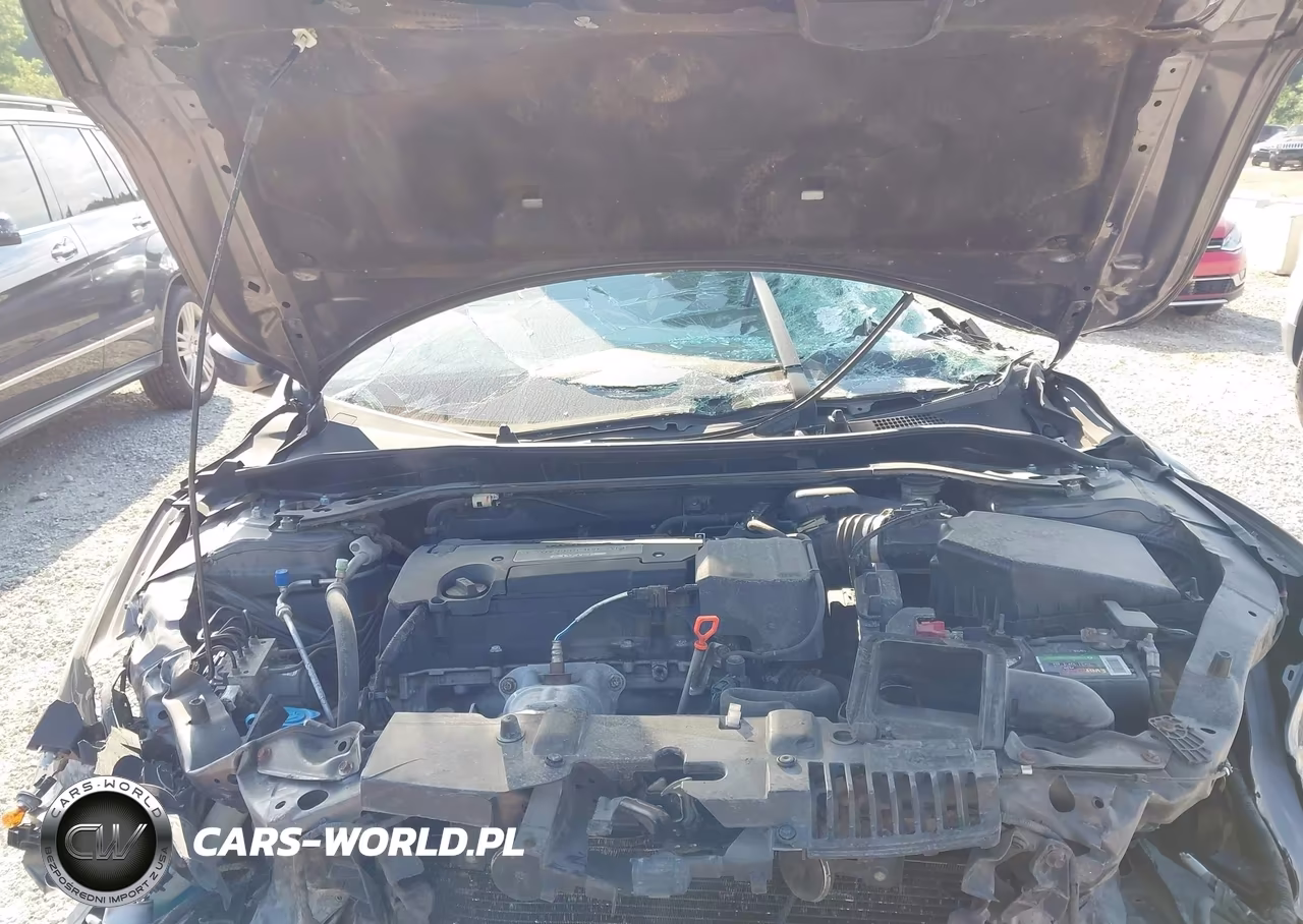 2014 Honda Accord Sport VIN:1HGCR2F54EA024693 - 10