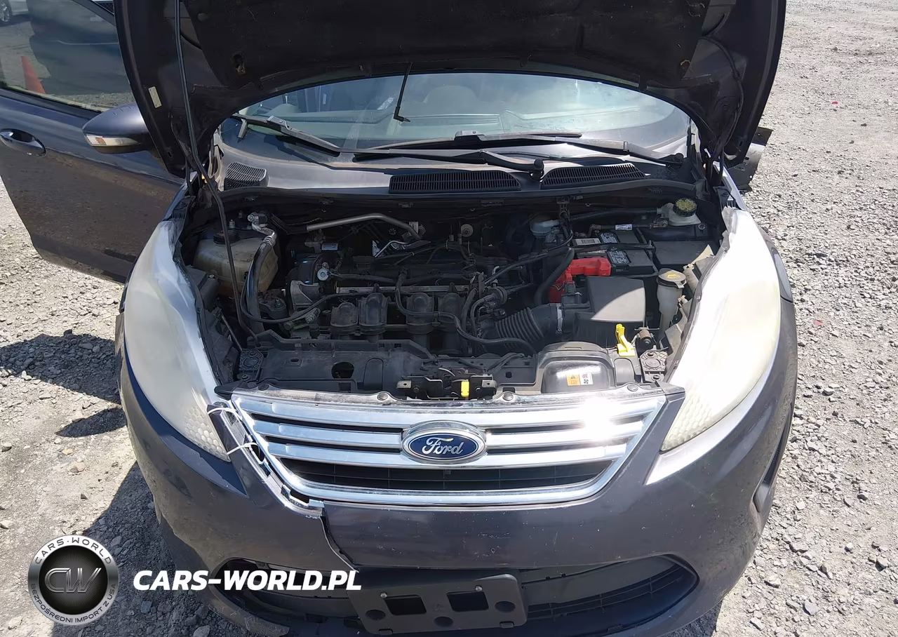 2013 Ford Fiesta Se VIN:3FADP4BJ6DM225168 - 10