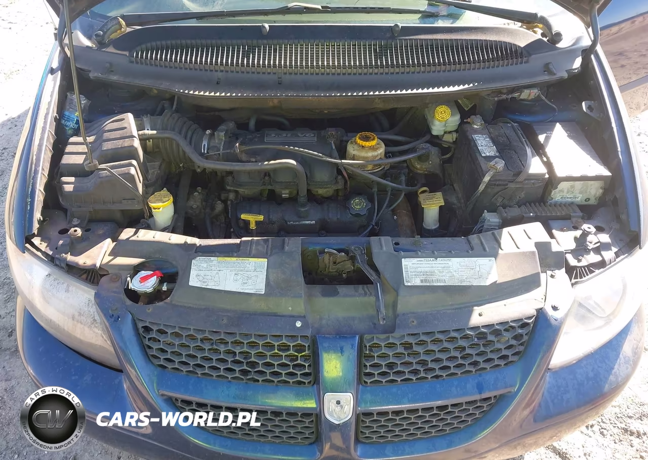 2003 Dodge Caravan Sport VIN:1D4GP45383B166217 - 10