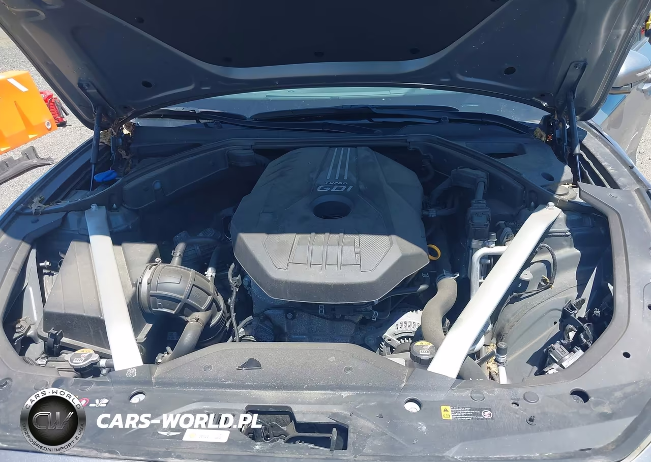 2023 Genesis G70 2.0T Awd VIN:KMTG34TA5PU132239 - 10