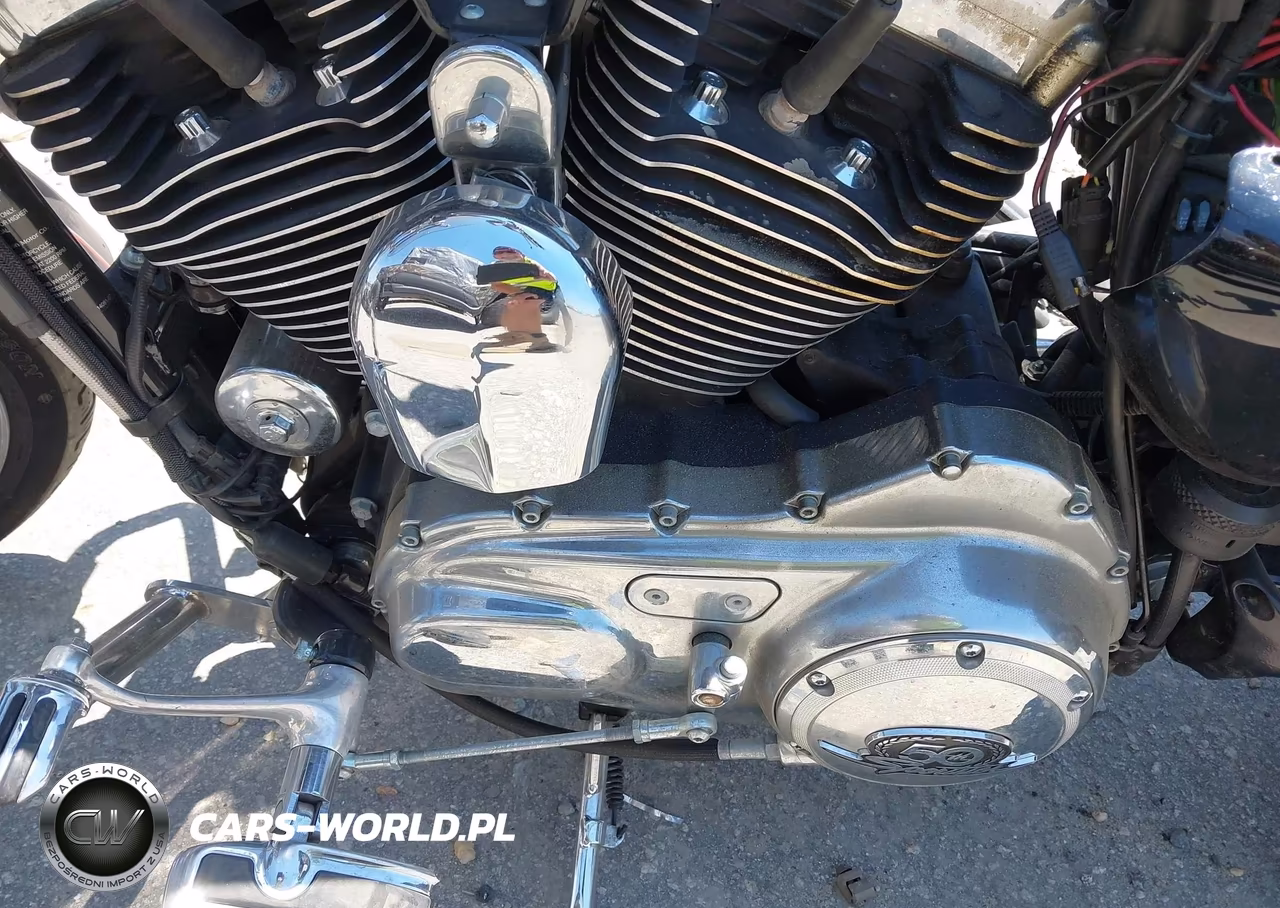 2007 Harley-Davidson Xl1200 50Th Anniversary VIN:1HD1CY3177K411715 - 9