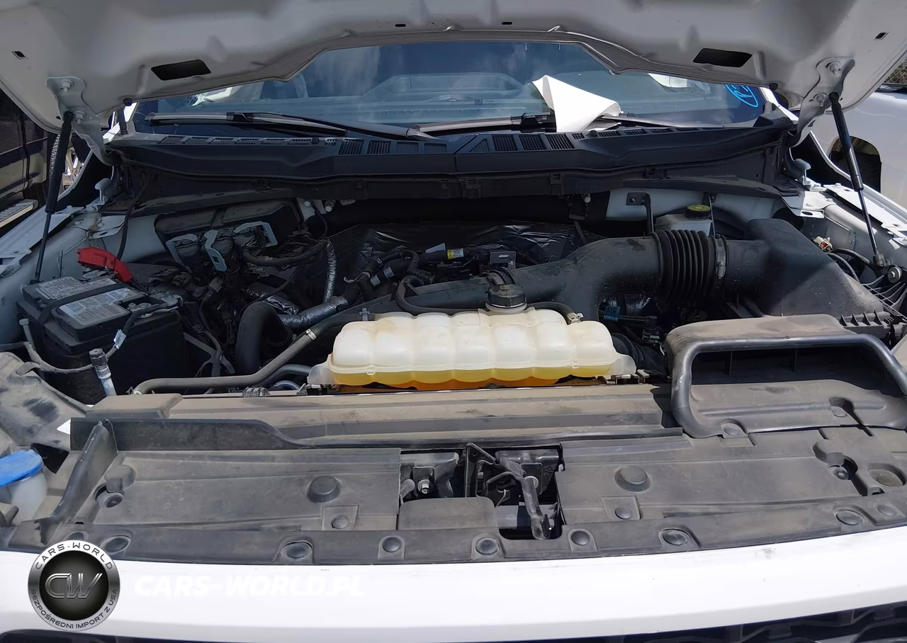 2023 Ford F-150 Xl VIN:1FTEW1CP5PKF85661 - 10