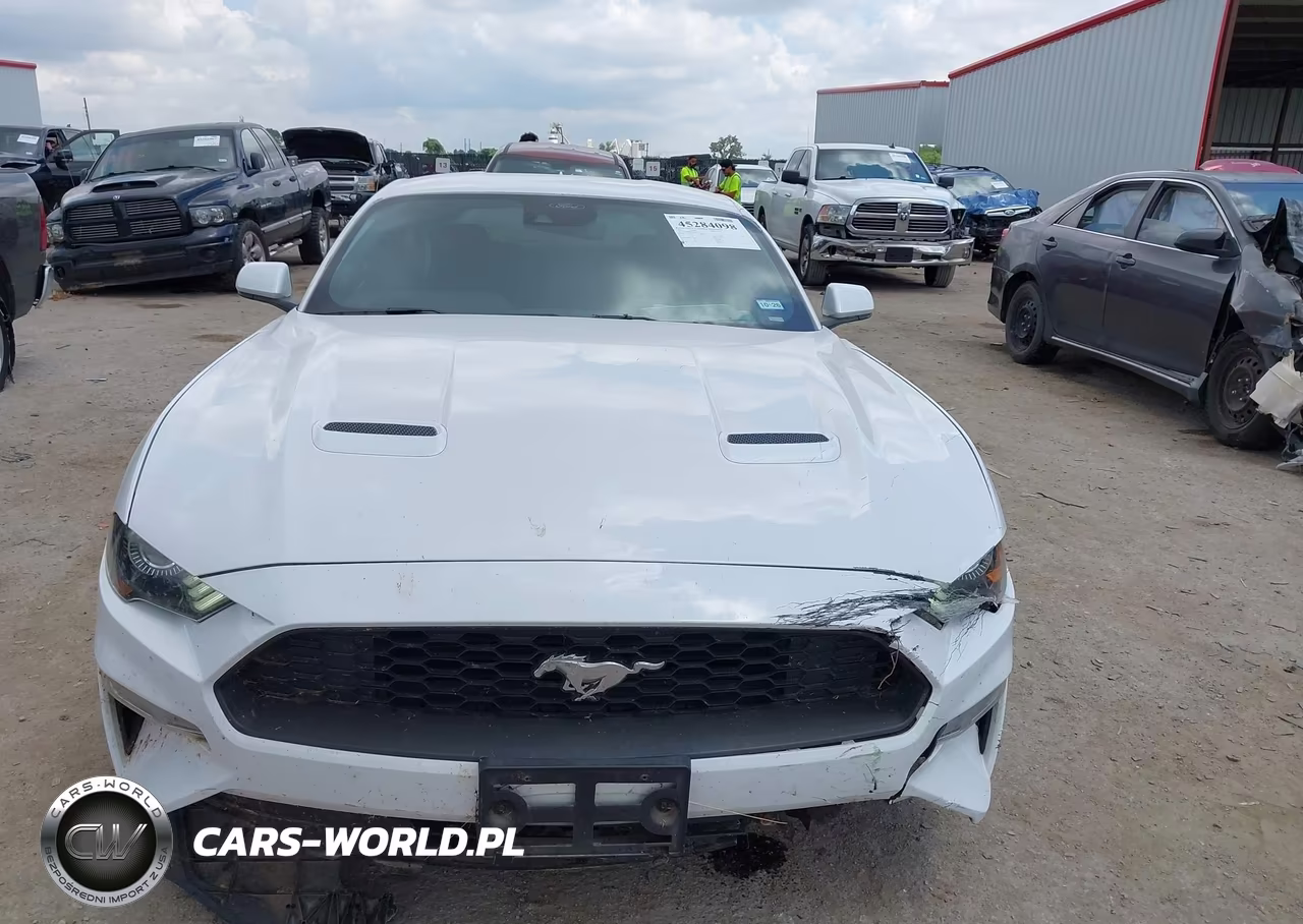 2021 Ford Mustang Ecoboost Fastback VIN:1FA6P8TH9M5109335 - 12