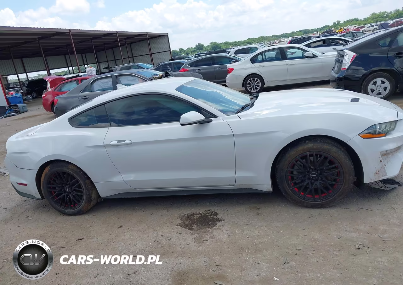 2021 Ford Mustang Ecoboost Fastback VIN:1FA6P8TH9M5109335 - 13