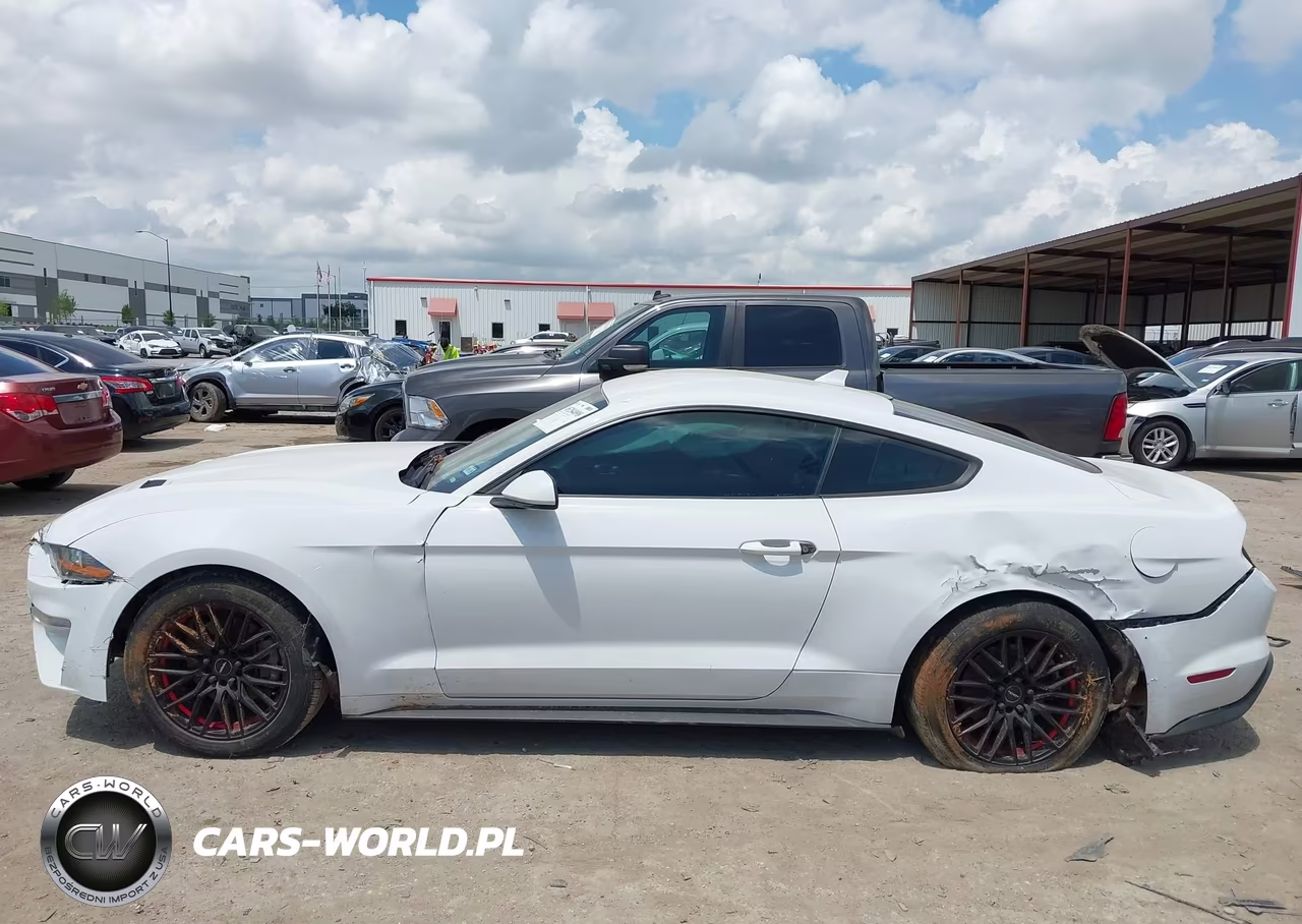 2021 Ford Mustang Ecoboost Fastback VIN:1FA6P8TH9M5109335 - 14