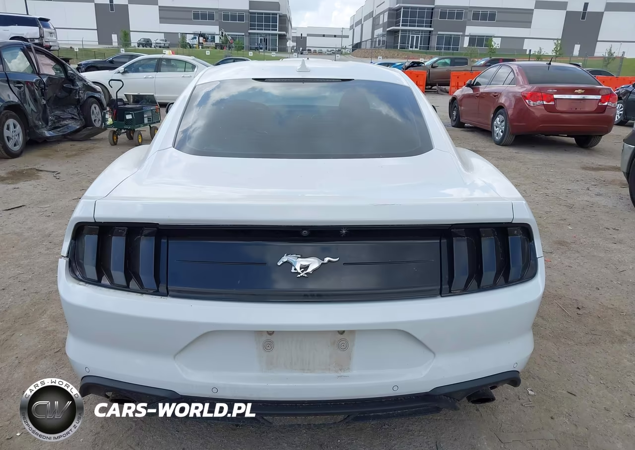 2021 Ford Mustang Ecoboost Fastback VIN:1FA6P8TH9M5109335 - 16