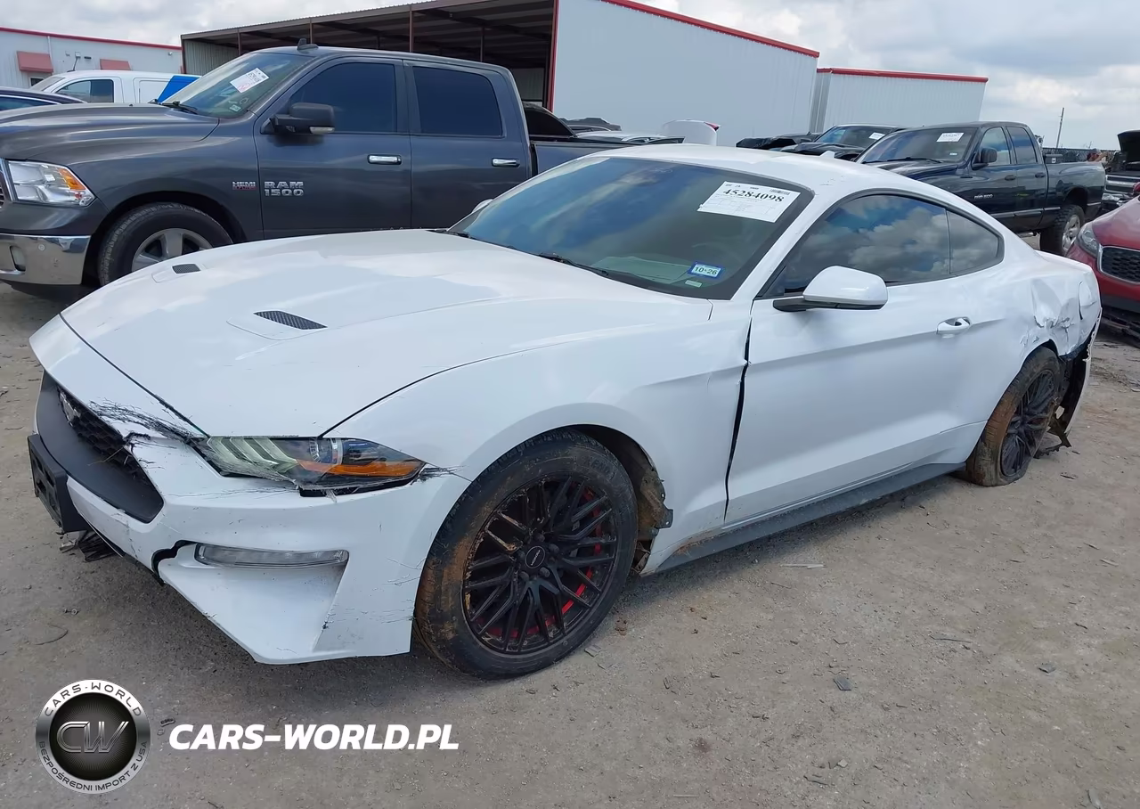 2021 Ford Mustang Ecoboost Fastback VIN:1FA6P8TH9M5109335 - 2