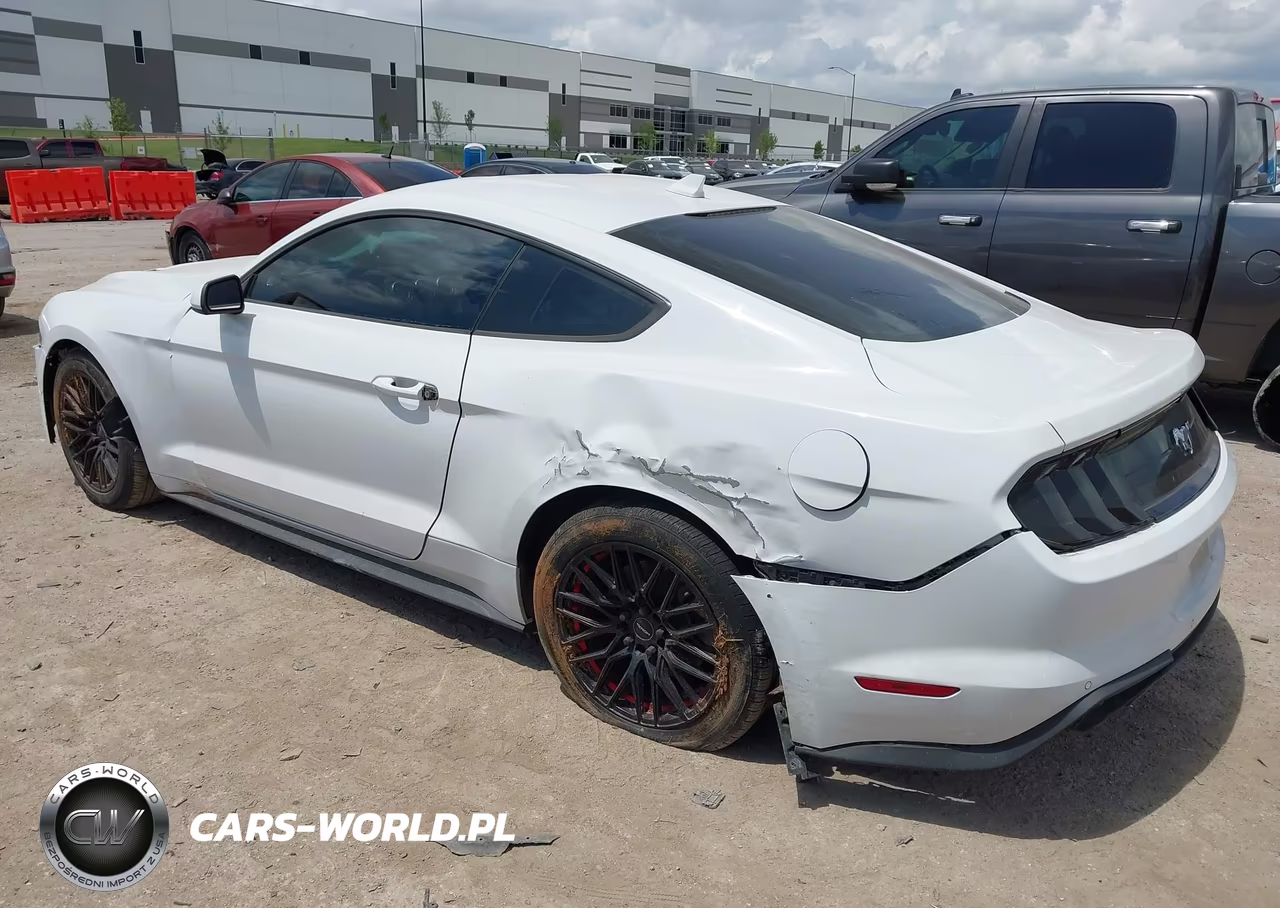 2021 Ford Mustang Ecoboost Fastback VIN:1FA6P8TH9M5109335 - 3