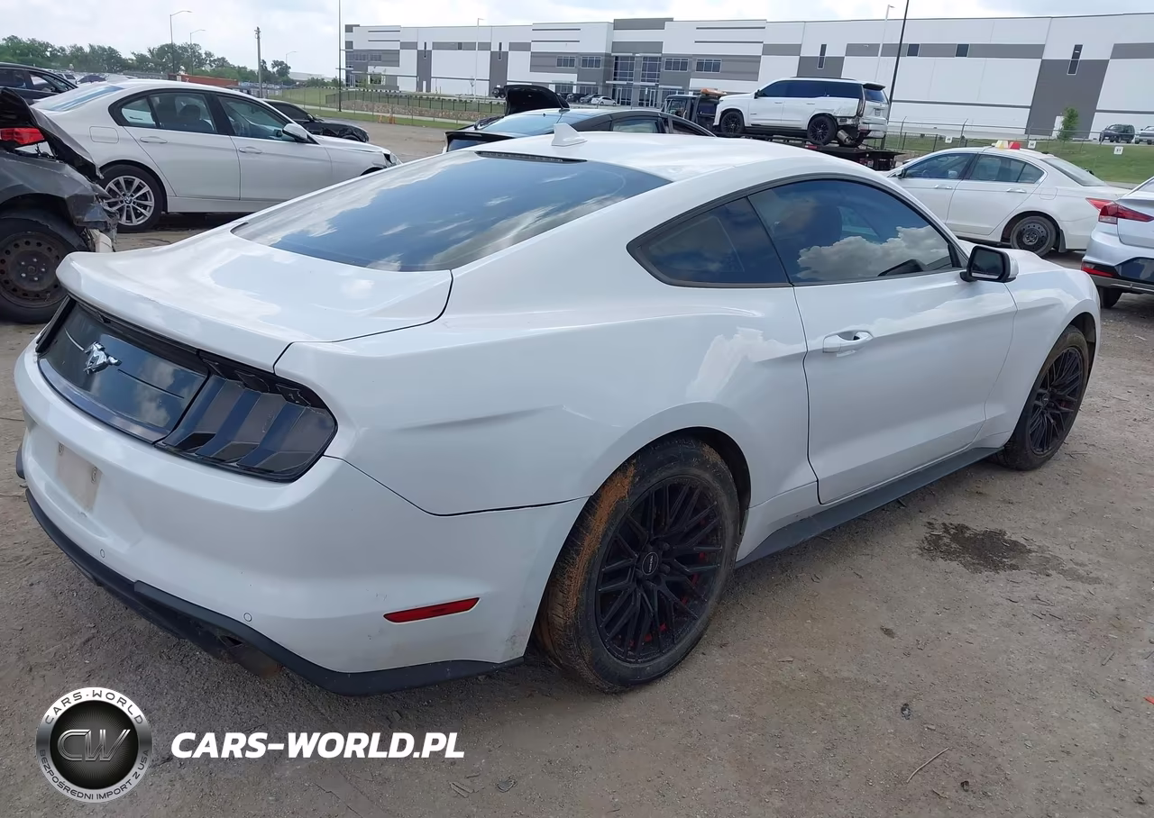 2021 Ford Mustang Ecoboost Fastback VIN:1FA6P8TH9M5109335 - 4