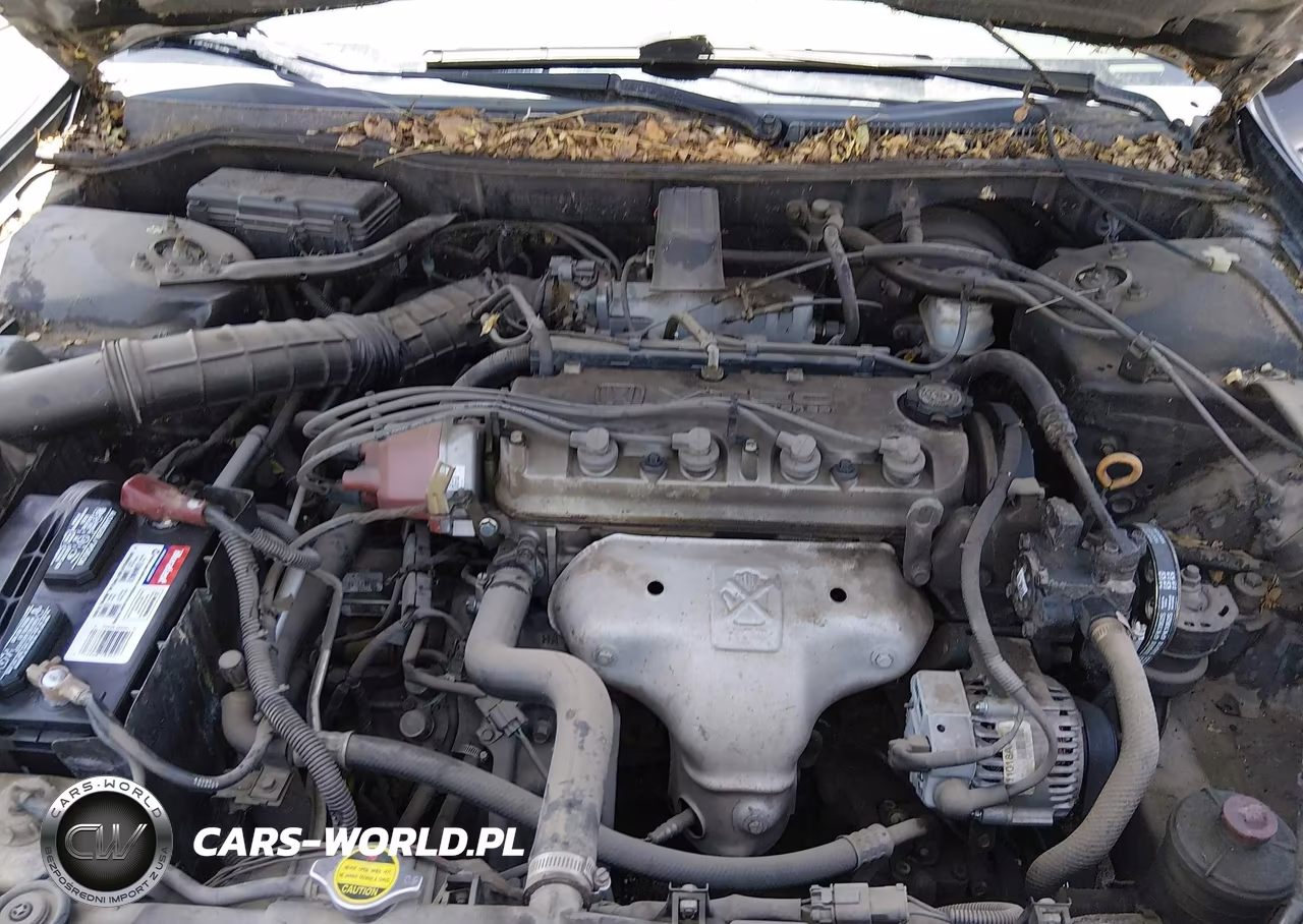 1998 Honda Accord Lx VIN:1HGCG5648WA078501 - 10