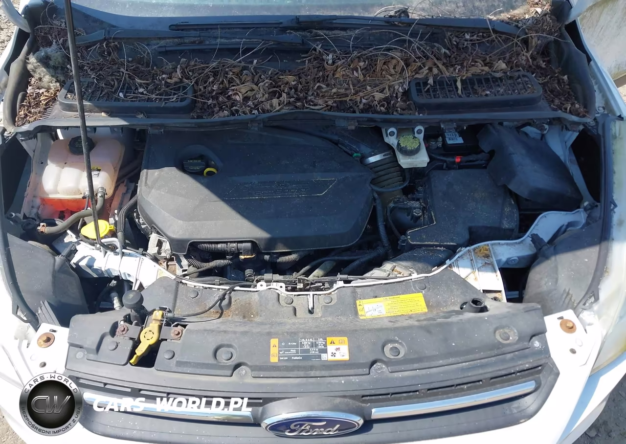 2013 Ford Escape Se VIN:1FMCU0GX4DUB94630 - 10