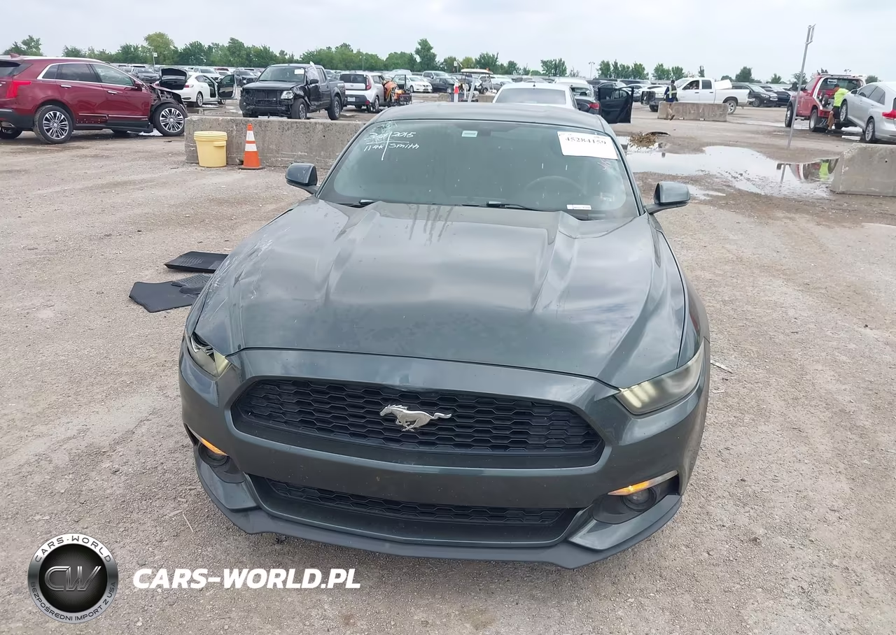 2015 Ford Mustang Ecoboost VIN:1FA6P8TH9F5324619 - 12