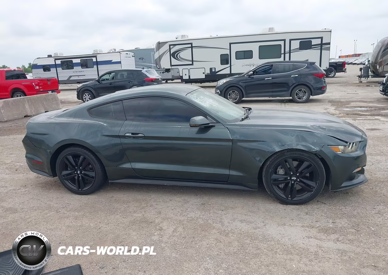 2015 Ford Mustang Ecoboost VIN:1FA6P8TH9F5324619 - 13