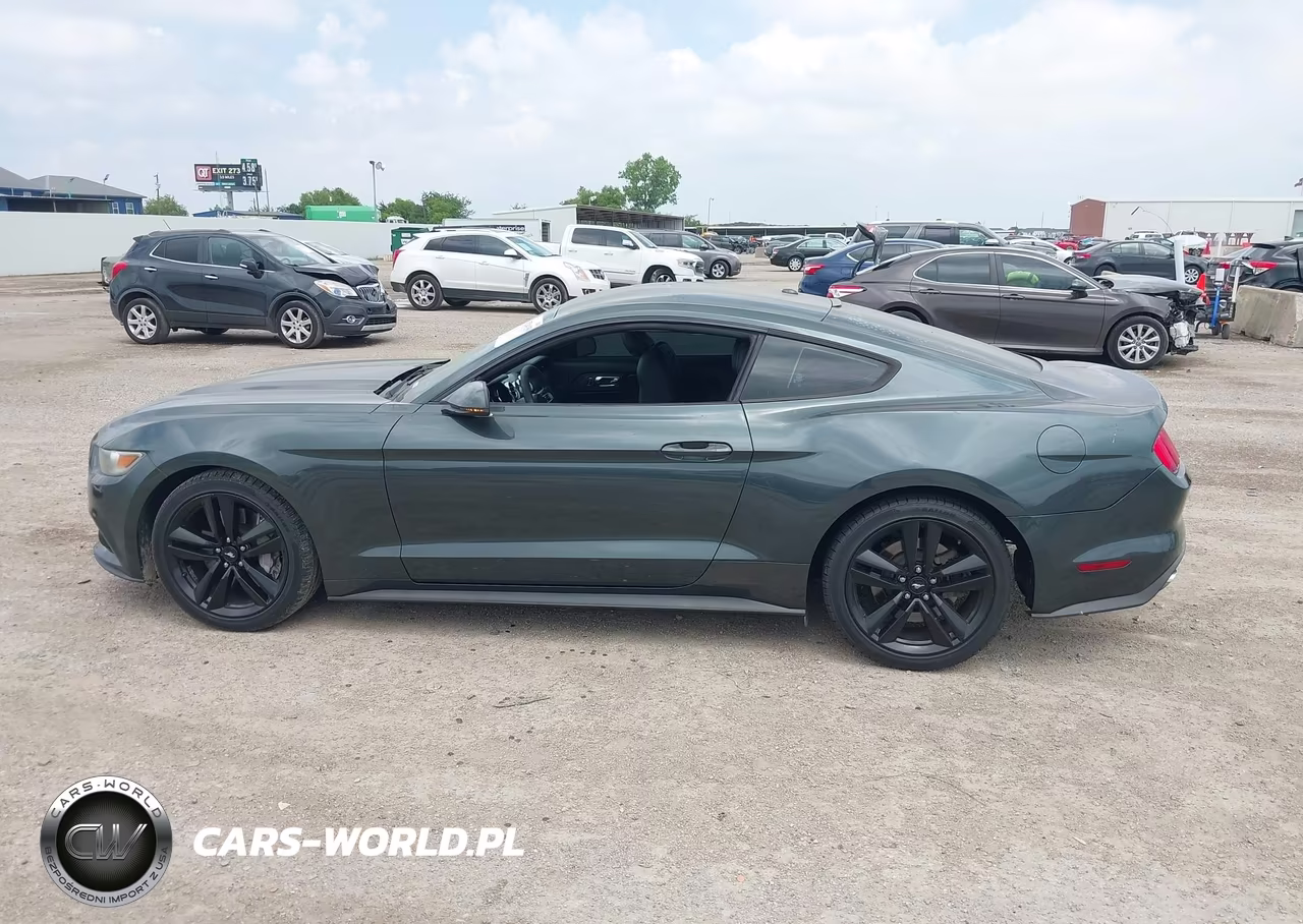 2015 Ford Mustang Ecoboost VIN:1FA6P8TH9F5324619 - 14
