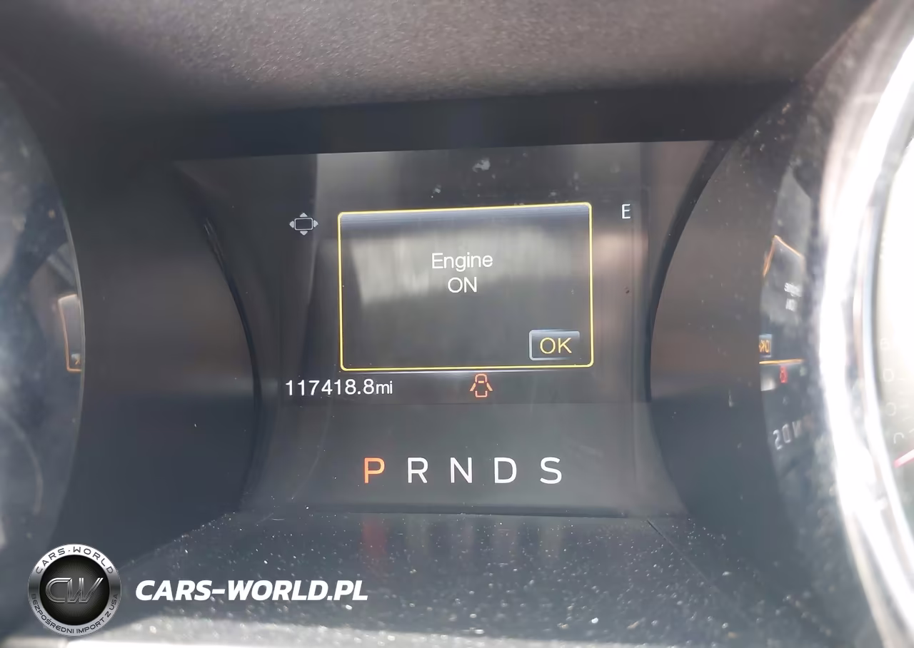 2015 Ford Mustang Ecoboost VIN:1FA6P8TH9F5324619 - 15