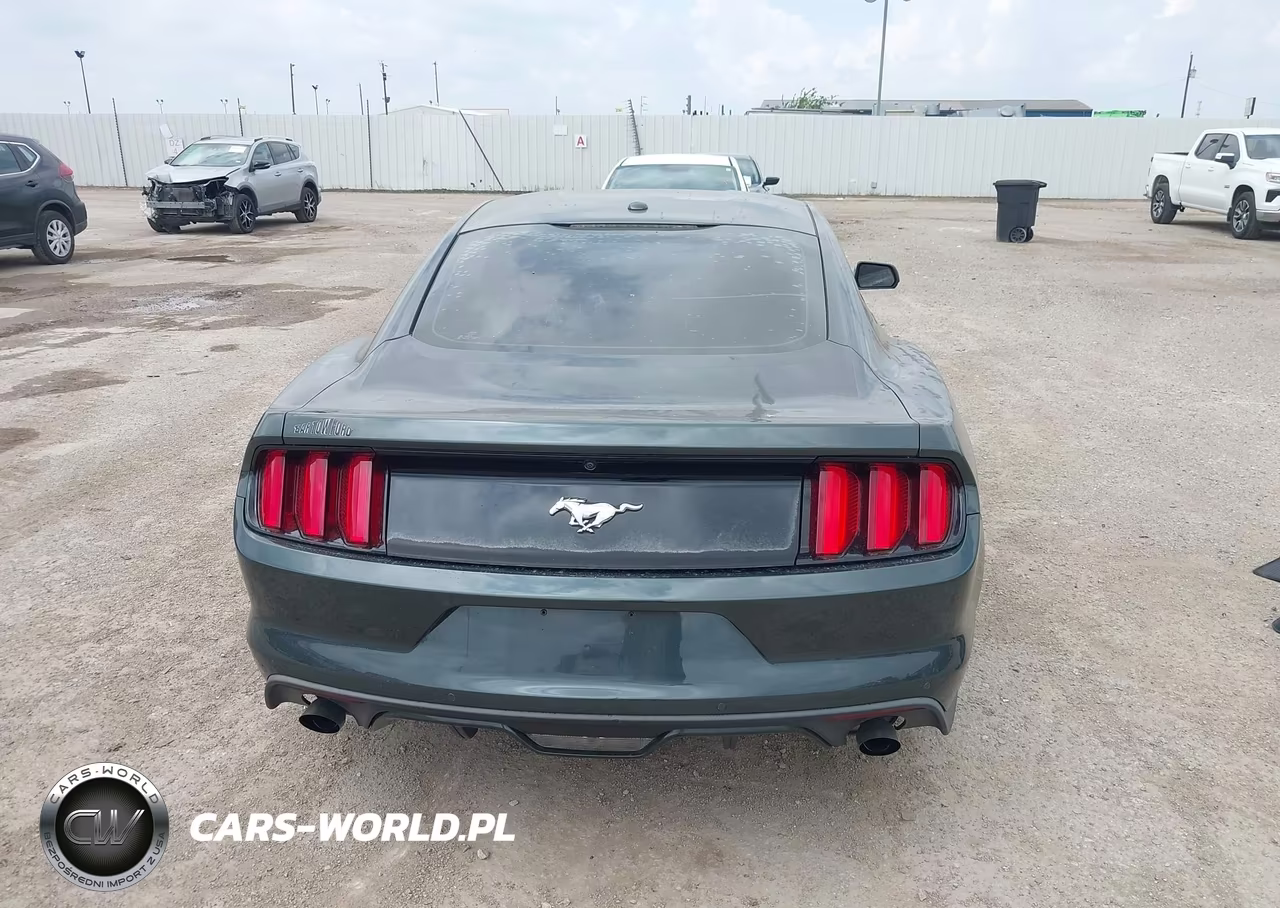 2015 Ford Mustang Ecoboost VIN:1FA6P8TH9F5324619 - 16