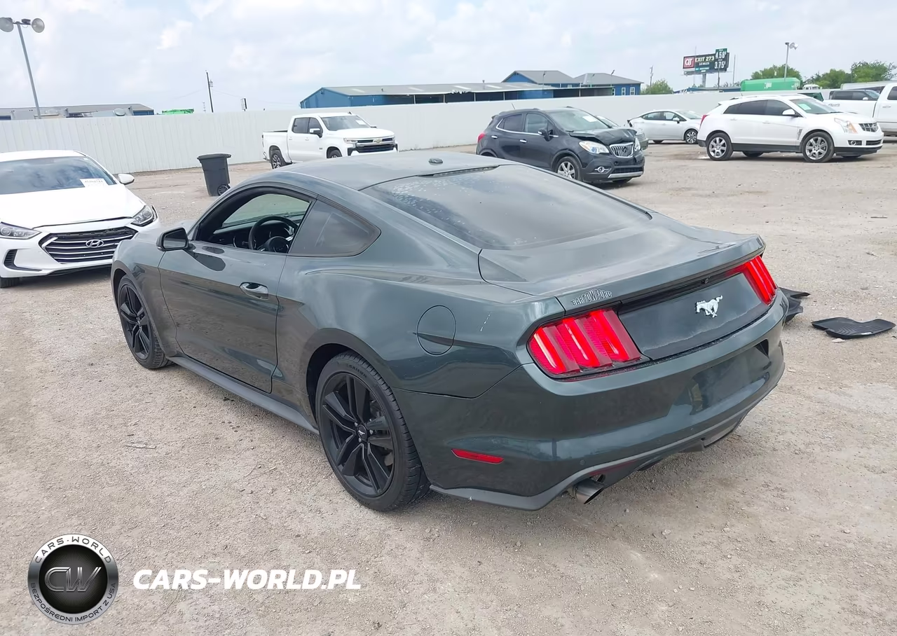 2015 Ford Mustang Ecoboost VIN:1FA6P8TH9F5324619 - 3