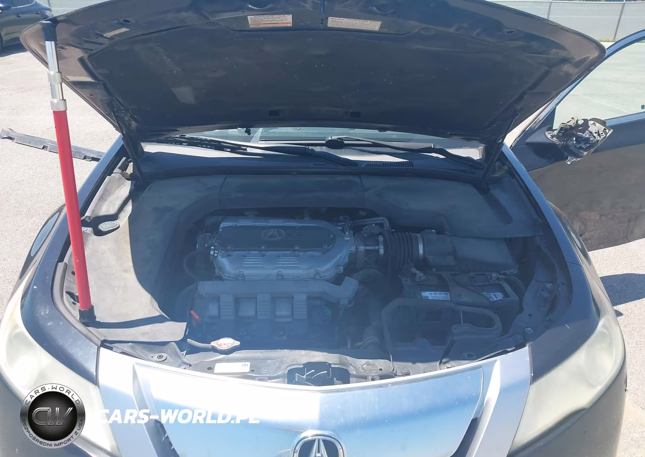 2009 Acura Tl 3.7 VIN:19UUA96559A001868 - 10