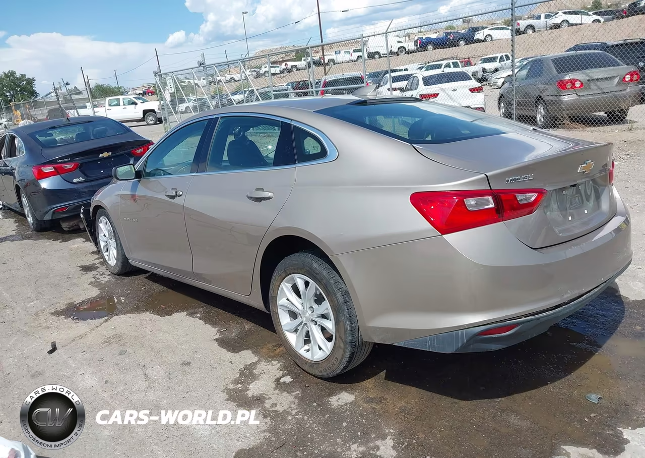 2023 Chevrolet Malibu Fwd 1Lt VIN:1G1ZD5ST4PF178865 - 3