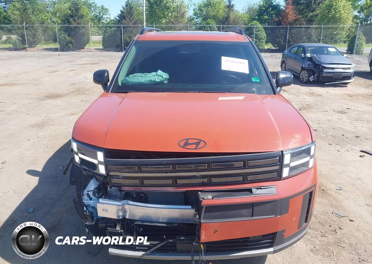 2025 Hyundai Santa Fe Xrt VIN:5NMP3DGL6SH120594 - 13