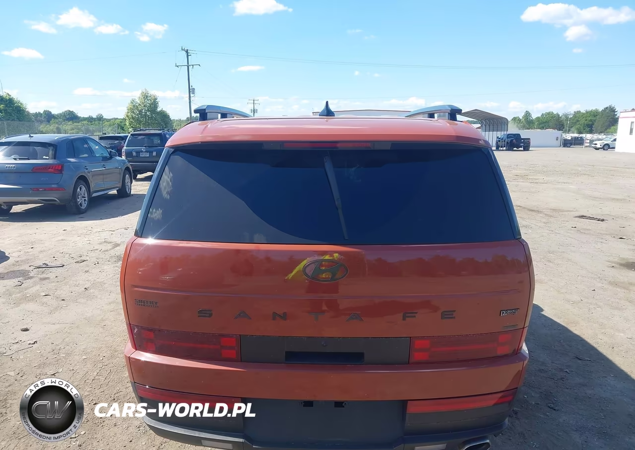 2025 Hyundai Santa Fe Xrt VIN:5NMP3DGL6SH120594 - 17